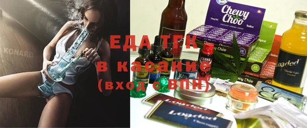 крисы Тайга