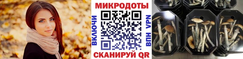 KRAKEN ссылки  Семёнов  Псилоцибиновые грибы мухоморы 